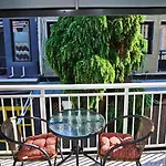 别墅 Center 卡瓦拉