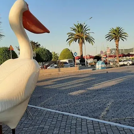 Center فيلة
